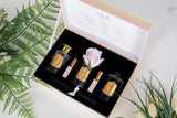 The image displays an open Cote Noire luxury gift set laid out on a surface with a decorative green fern pattern. The box is white with a golden border and contains a selection of fragrance products neatly arranged on a black velvet insert. Inside the box are two black glass jars with golden labels, one holding a natural wax candle, the other a reed diffuser, and two small black glass perfume bottles with golden caps. In the center, a single light pink rose with a leaf enhances the visual appeal of the set.