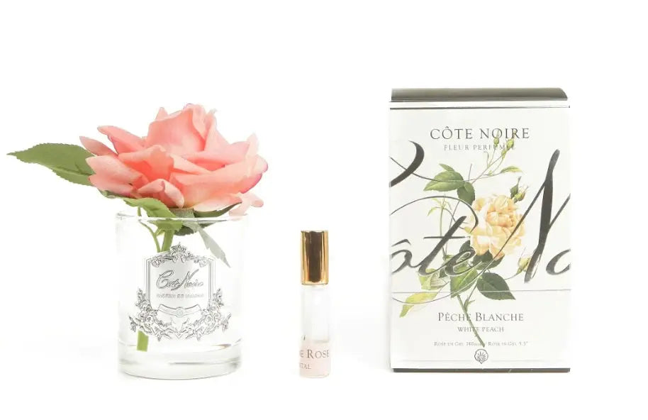 A clear glass vase containing a single artificial pink rose with green leaves. The vase is labeled 'Côte Noire' in an elegant script. Beside the vase is a small glass bottle with a gold cap labeled 'Rose Petal.' The items are placed in front of a white box adorned with a botanical illustration of peach-colored flowers and green leaves, labeled 'Côte Noire Fleur Parfum Pêche Blanche White Peach.