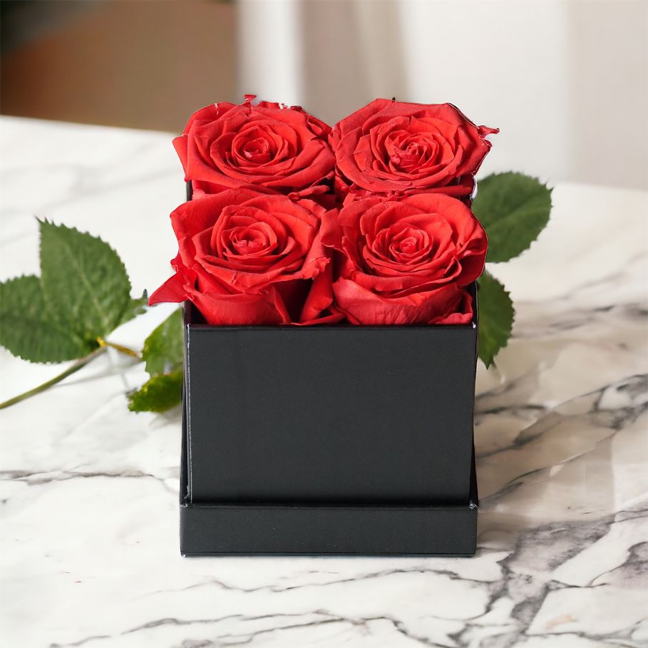 Sherry Basic Black Square Box | Red Roses  (Everlasting Roses)