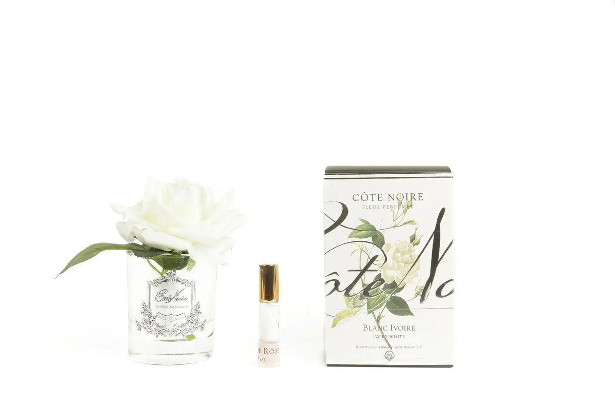A Cote Noire gift set featuring a single white artificial rose in a clear glass jar, adorned with a silver label. Next to the rose is a small vial of perfume with a gold cap. The items are displayed alongside a white box with floral designs and the text 'Cote Noire Fleur Perfume, Blanc Ivoire, Ivory White.