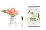 Cote Noire Perfumed Natural Touch Single Rose - Clear - White Peach -  Cote Noire -  Armani Gallery