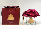Limited Edition Perfumed Natural Touch Five Roses - Clear - Carmine Red - Burgundy Box - Cote Noire