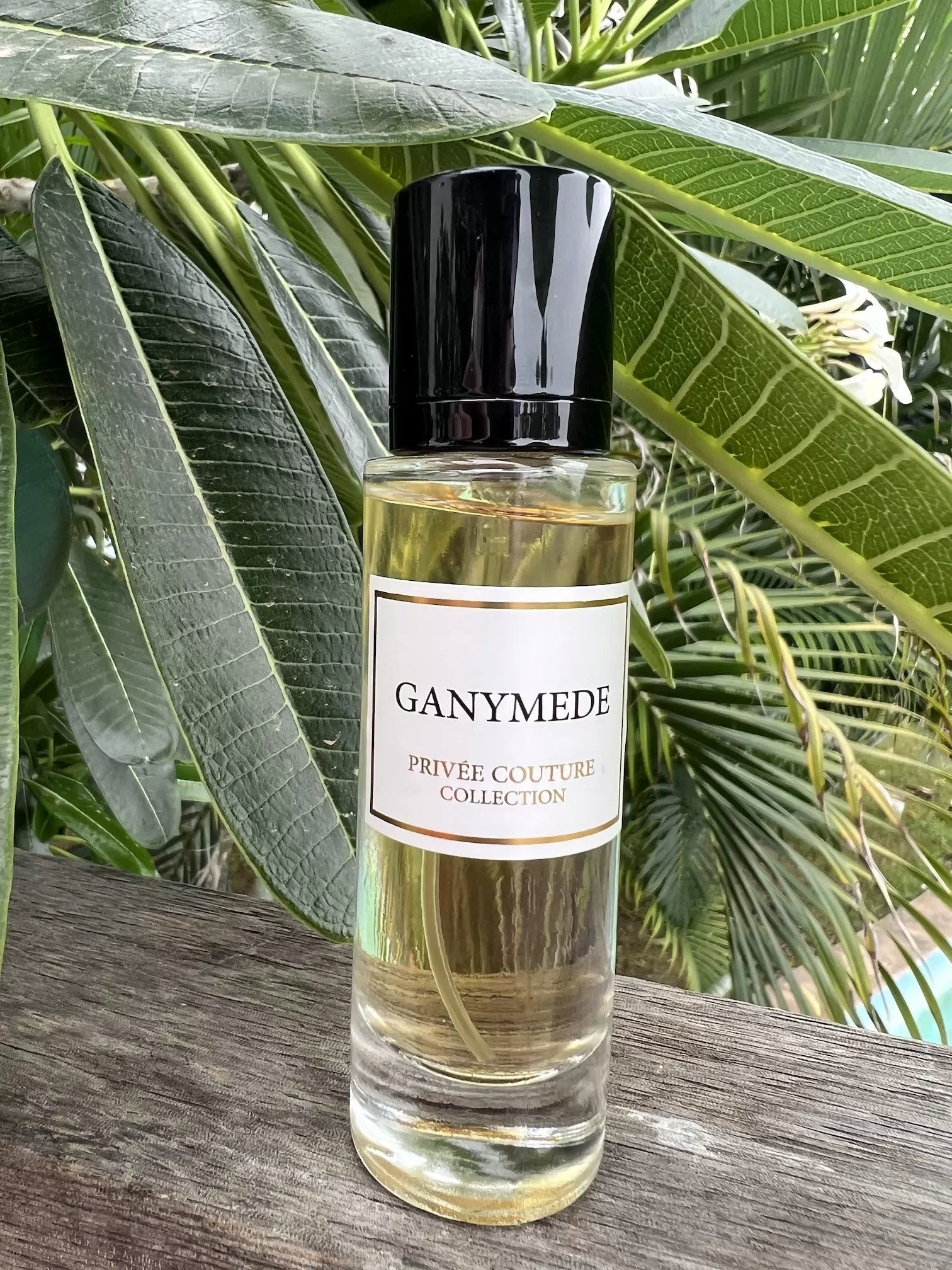 The "GANYMEDE PRIVEE COUTURE COLLECTION" perfume by Ard Al Zaafaran is showcased in a natural setting, placed on a wooden surface with lush green leaves in the background. The transparent glass bottle with a black cap contains a golden-yellow liquid. The label features the name "GANYMEDE" in elegant black font on a white background, with "PRIVEE COUTURE COLLECTION" beneath it.