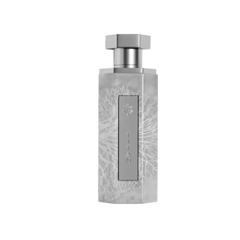 A bold and modern bottle of Titan perfume by Reef Perfumes, designed with a sleek silver-gray finish. The tall, faceted bottle features an intricate, etched coral or root-like pattern across the surface. A vertical metallic plaque on the front is engraved with 'TITAN' and a rose emblem above it, both in matching silver. The bottle is topped with a geometric silver cap, set against a white background with a soft drop shadow, highlighting the fragrance’s powerful aesthetic.