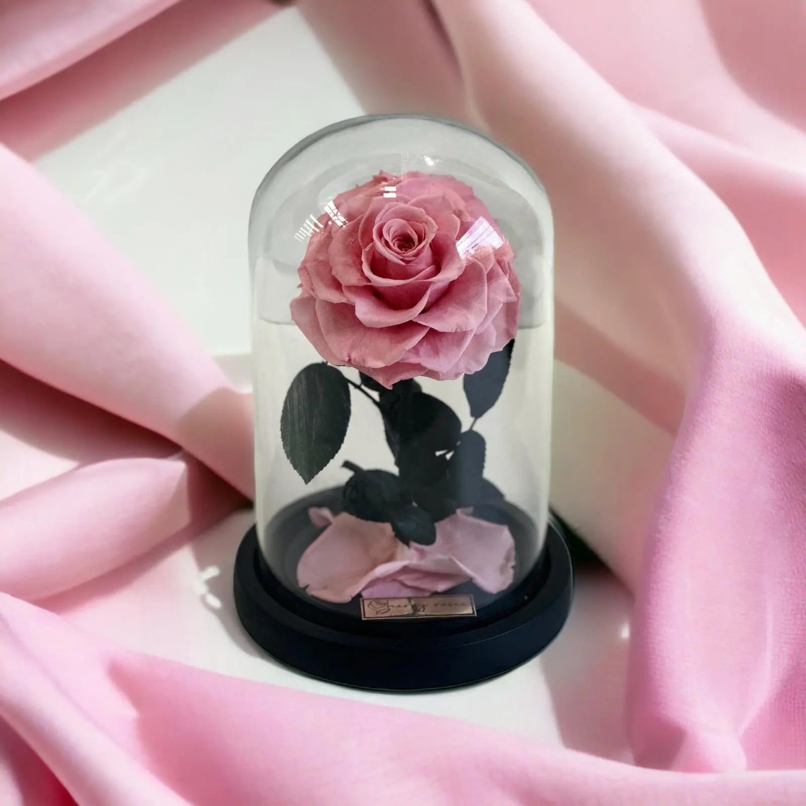 Sherry Deluxe Pink Rose Dome - Small  (Everlasting Roses) -  Armani gallery -  Armani Gallery