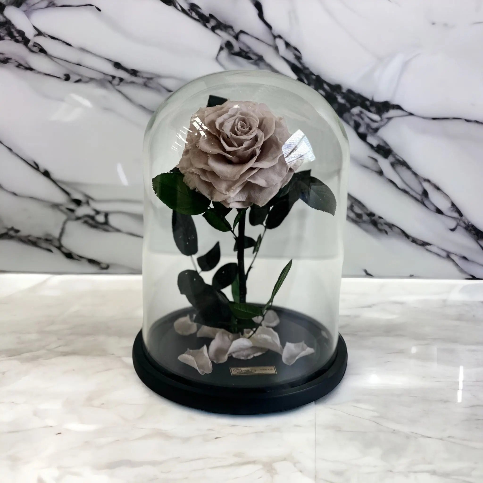 Sherry Deluxe Rose Dome  -  Large  (Everlasting Roses) -  Armani gallery -  Armani Gallery